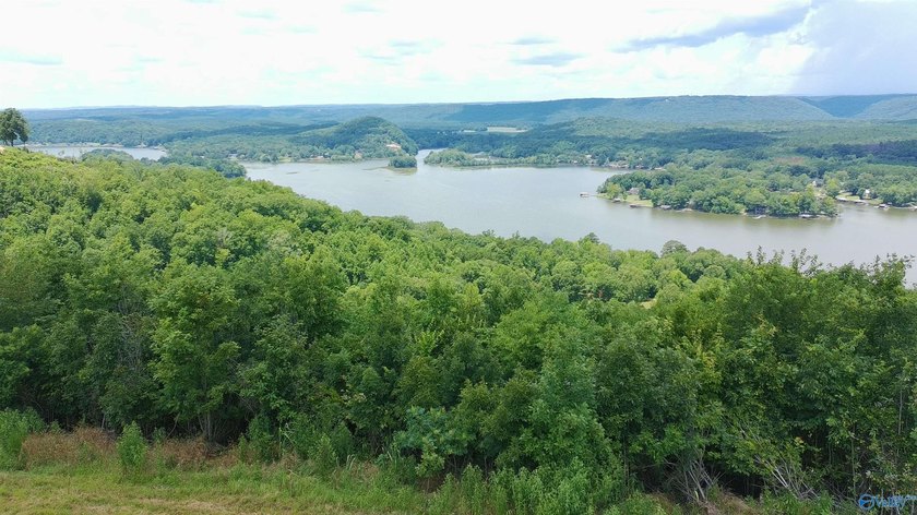 Build your dream home on these two adjoining lots totaling 2.49 - photo 4