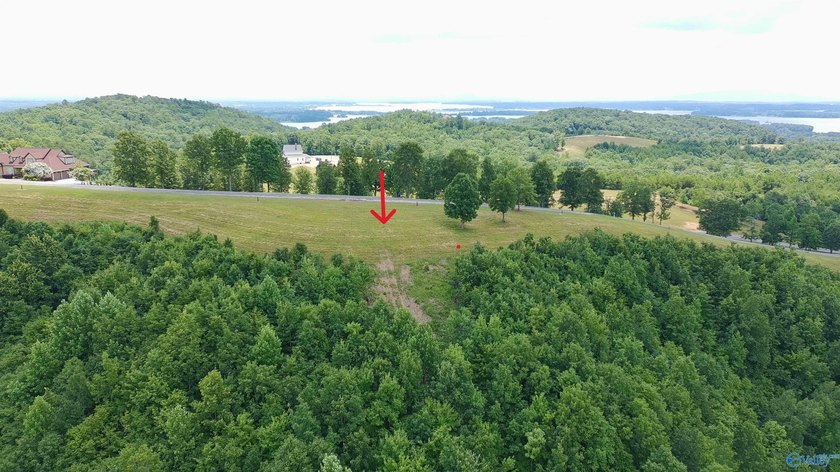 Build your dream home on these two adjoining lots totaling 2.49 - photo 7