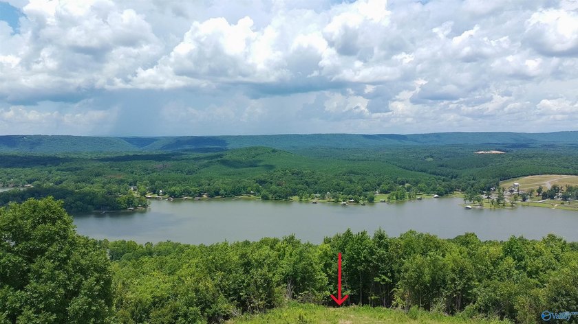 Build your dream home on these two adjoining lots totaling 2.49 - photo 8