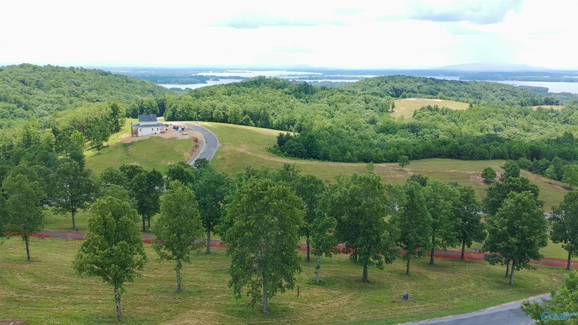 Build your dream home on these two adjoining lots totaling 2.49 - photo 9