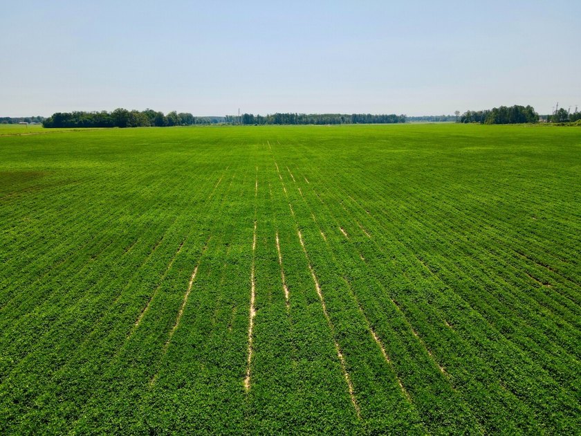 This diverse income-producing farm is located between Huxford - photo 3