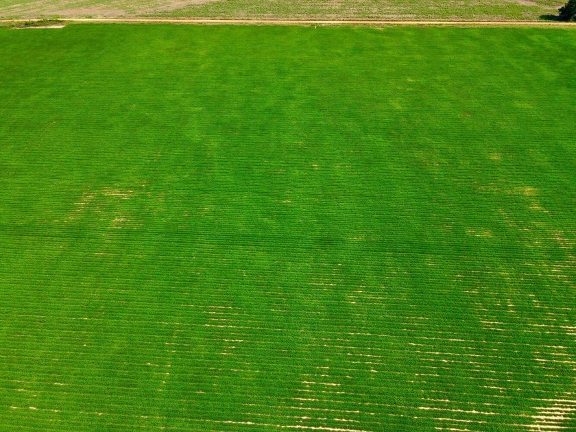 This diverse income-producing farm is located between Huxford - photo 6