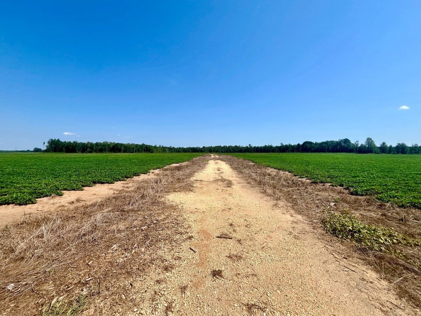 This diverse income-producing farm is located between Huxford - photo 8