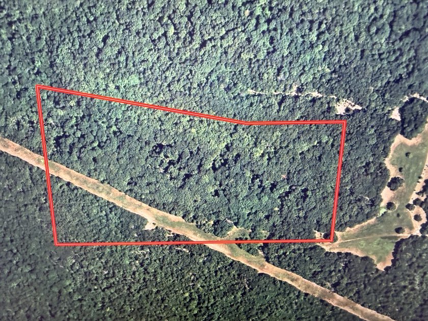 Here is a good laying 40 acre tract in Camden County not far - photo 12