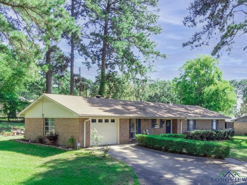 4132 Lakeshore Dr, Lone Star, TX 75668, 2832774