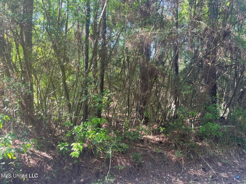 Once a beautiful farm and homestead. Lots of Timber and onetime - photo 3
