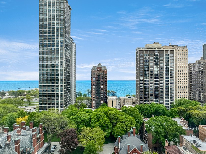 One of Chicago's finest cooperative residences, this - photo 7