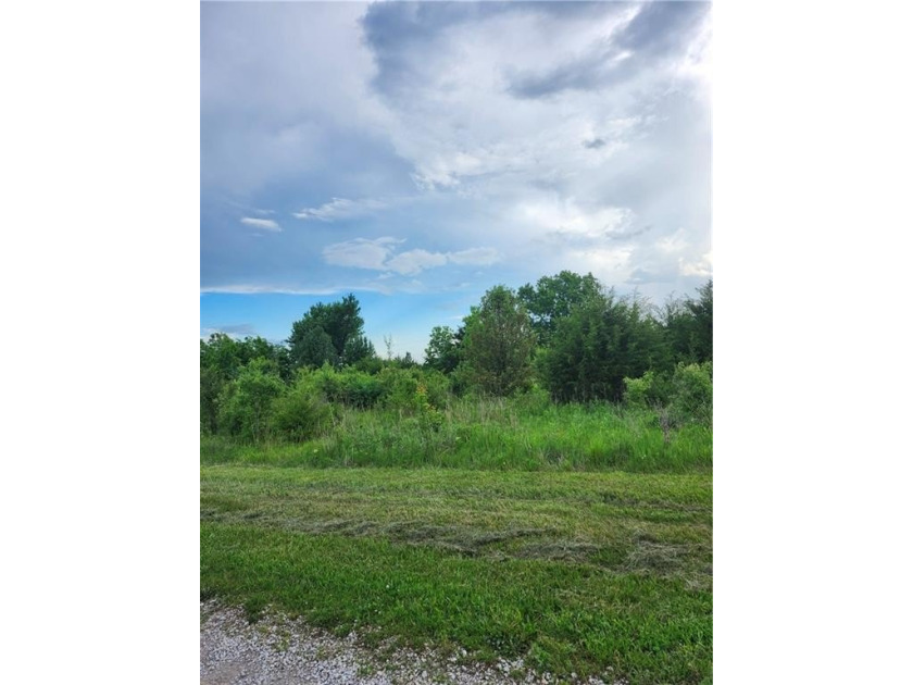 Two beautiful level larger lots (70 X 140) each. Plenty of - photo 4