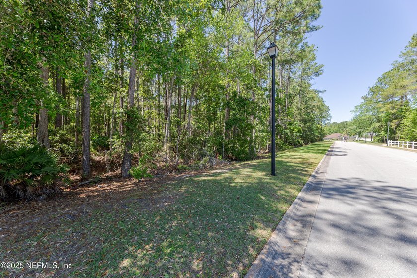 Come explore this beautiful home site of approximately 2.95 - photo 3