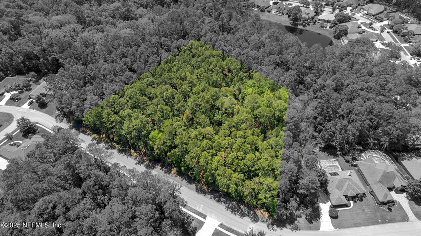 Come explore this beautiful home site of approximately 2.95 - photo 6