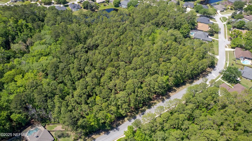 Come explore this beautiful home site of approximately 2.95 - photo 8