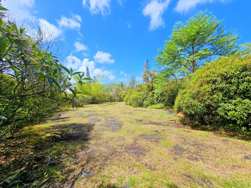 One acre of prime Hawaiian Paradise Park land. From the street - photo 8