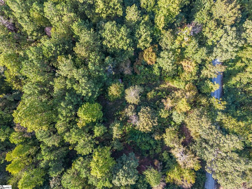 Enjoy lake living in a beautiful community on Lake Hartwell - photo 3