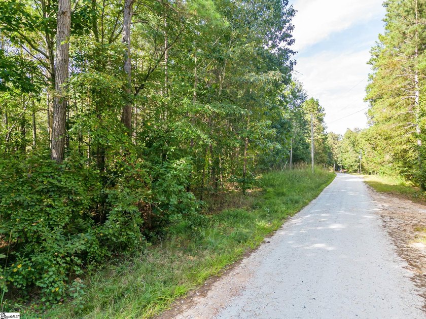 Enjoy lake living in a beautiful community on Lake Hartwell - photo 5