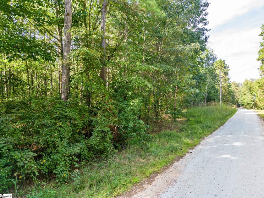 Enjoy lake living in a beautiful community on Lake Hartwell - photo 6
