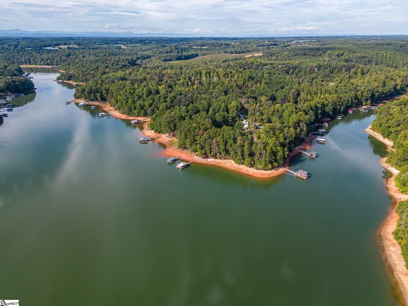 Enjoy lake living in a beautiful community on Lake Hartwell - photo 8