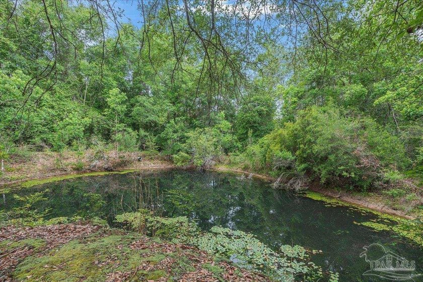 12 Acre Estate! Hidden behind beautiful mature oak trees and - photo 11