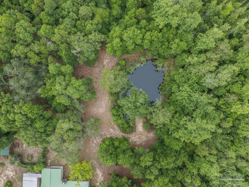 12 Acre Estate! Hidden behind beautiful mature oak trees and - photo 13