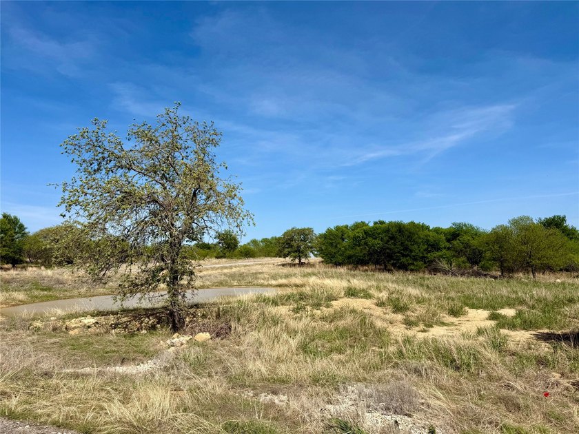 Beautiful Corner Lot in North Star Pointe on Lake Bridgeport- - photo 8