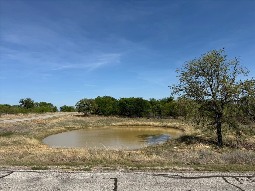 Beautiful Corner Lot in North Star Pointe on Lake Bridgeport- - photo 10