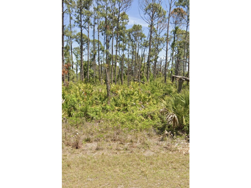 Vacant land opportunity in Port Charlotte. Lot is 0.2296acres/10 - photo 2