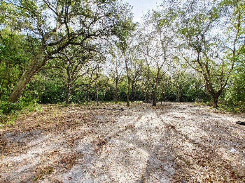 Under contract-accepting backup offers. Fantastic Residential - photo 20