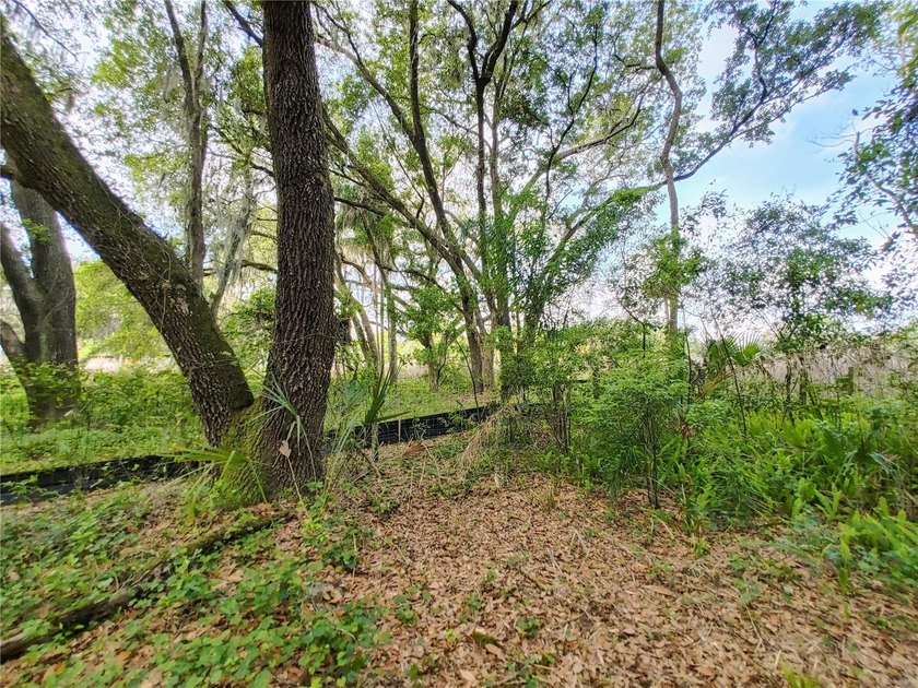 Under contract-accepting backup offers. Fantastic Residential - photo 25