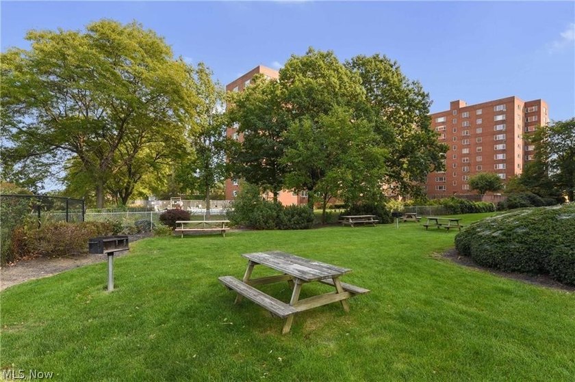 Experience convenient and vibrant living in this updated studio - photo 9