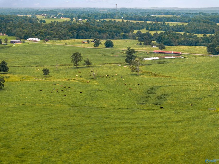 Discover the possibilities with this exceptional 70-acre farm, a - photo 7