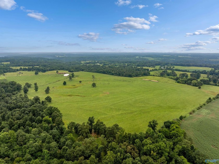 Discover the possibilities with this exceptional 70-acre farm, a - photo 8