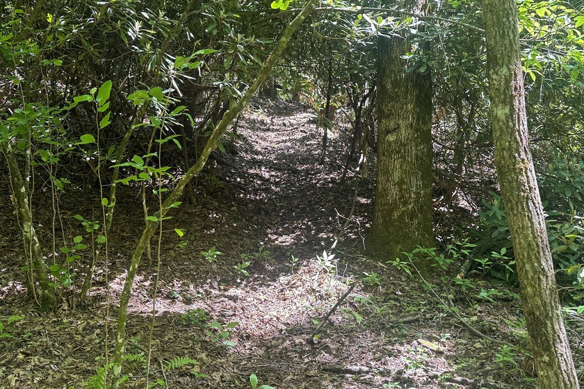 Beautifully wooded 5.83+/- gently rolling acres that adjoin the - photo 14