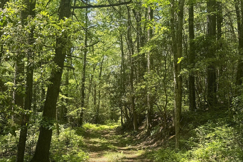 Beautifully wooded 5.83+/- gently rolling acres that adjoin the - photo 19