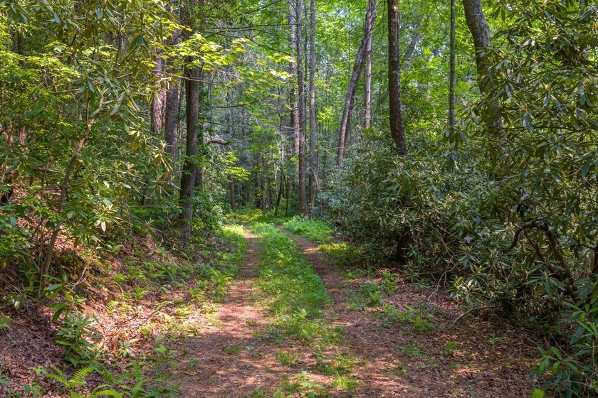 Beautifully wooded 5.83+/- gently rolling acres that adjoin the - photo 21