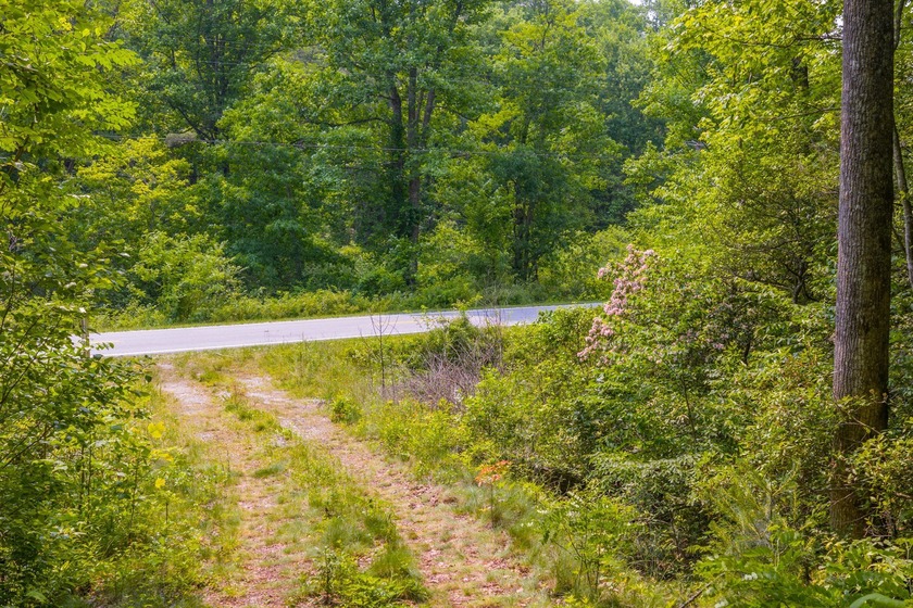 Beautifully wooded 5.83+/- gently rolling acres that adjoin the - photo 22