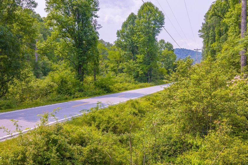 Beautifully wooded 5.83+/- gently rolling acres that adjoin the - photo 24