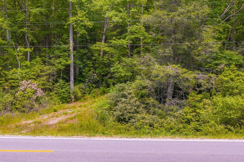 Beautifully wooded 5.83+/- gently rolling acres that adjoin the - photo 26