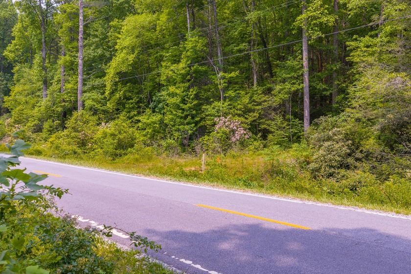 Beautifully wooded 5.83+/- gently rolling acres that adjoin the - photo 27