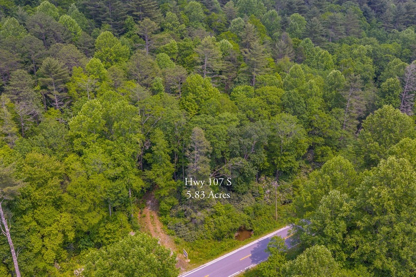 Beautifully wooded 5.83+/- gently rolling acres that adjoin the - photo 29