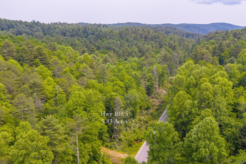 Beautifully wooded 5.83+/- gently rolling acres that adjoin the - photo 30