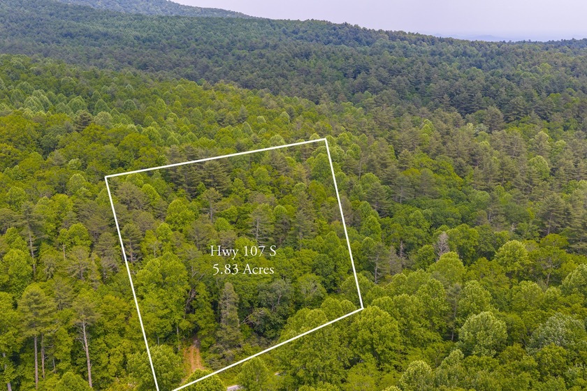 Beautifully wooded 5.83+/- gently rolling acres that adjoin the - photo 32