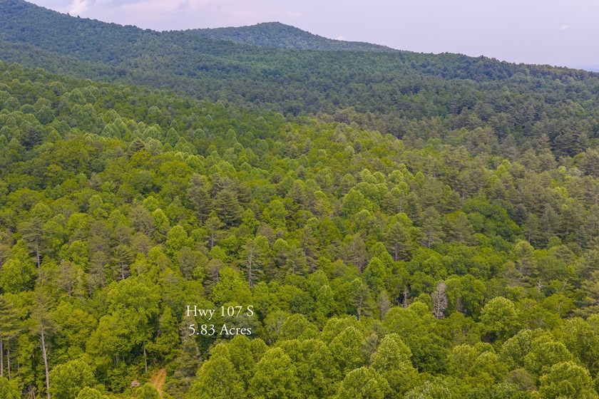 Beautifully wooded 5.83+/- gently rolling acres that adjoin the - photo 33