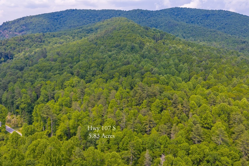 Beautifully wooded 5.83+/- gently rolling acres that adjoin the - photo 34