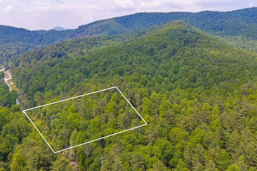 Beautifully wooded 5.83+/- gently rolling acres that adjoin the - photo 35