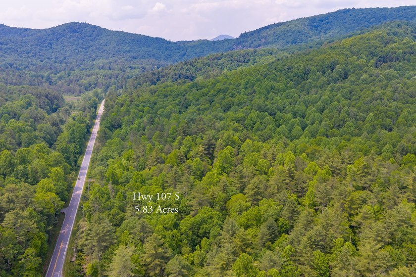 Beautifully wooded 5.83+/- gently rolling acres that adjoin the - photo 36