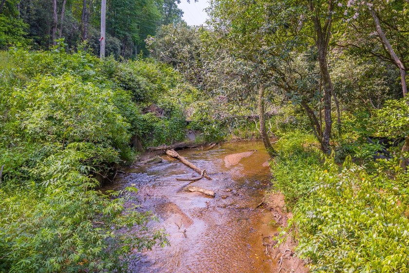 Beautifully wooded 5.83+/- gently rolling acres that adjoin the - photo 37