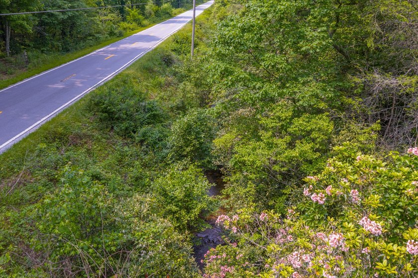 Beautifully wooded 5.83+/- gently rolling acres that adjoin the - photo 38