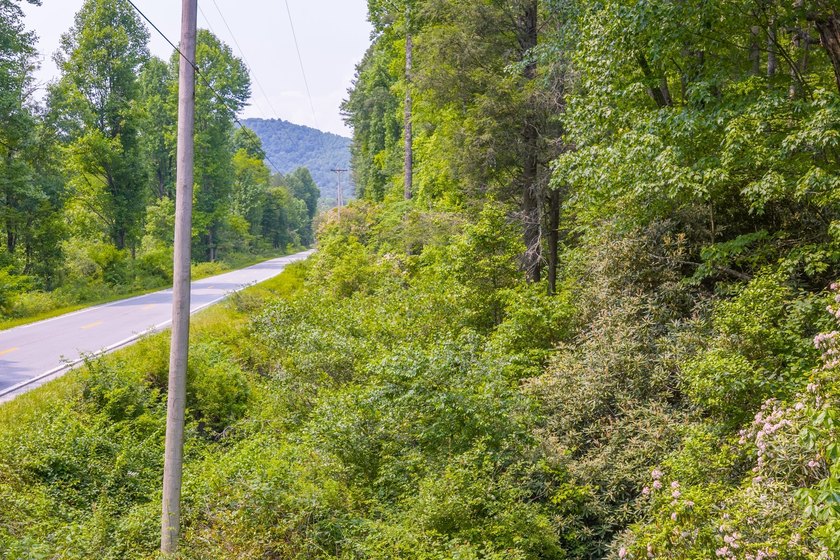 Beautifully wooded 5.83+/- gently rolling acres that adjoin the - photo 39
