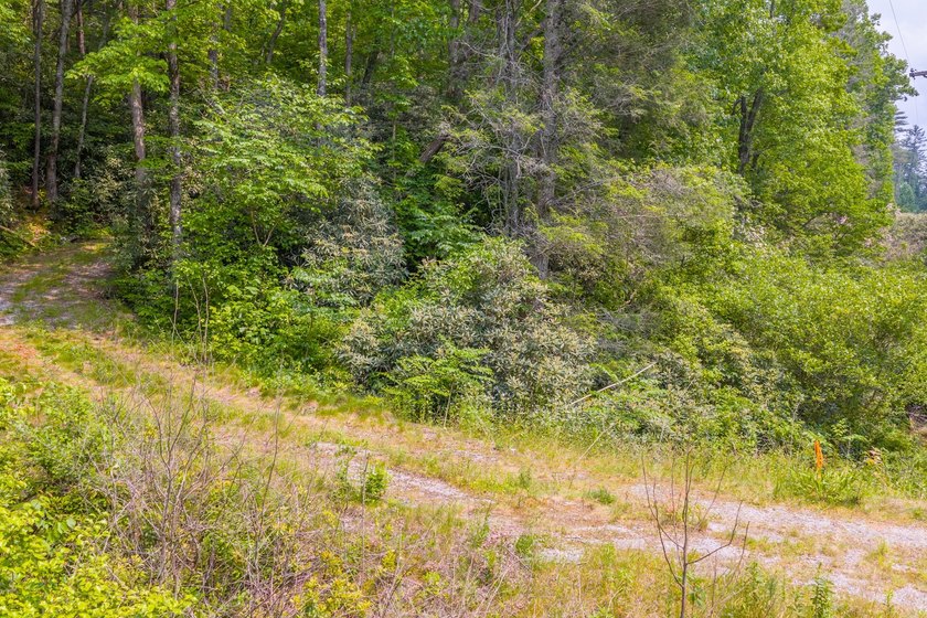 Beautifully wooded 5.83+/- gently rolling acres that adjoin the - photo 41