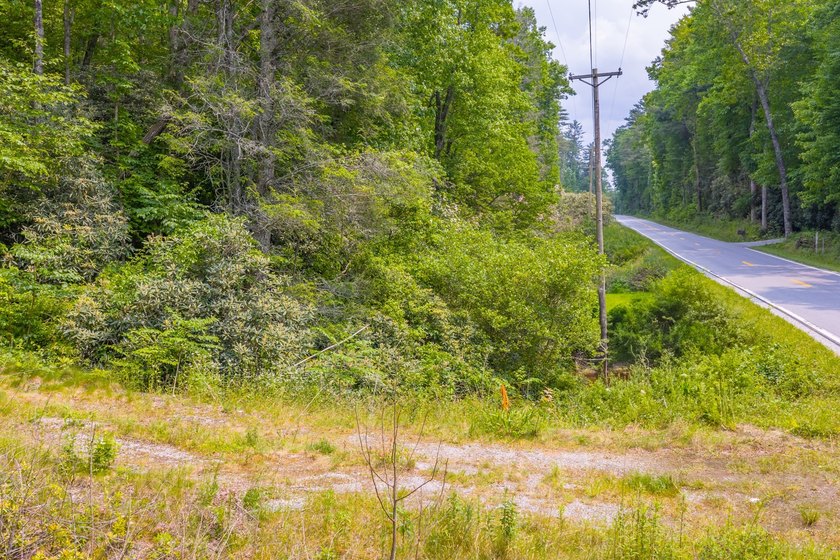 Beautifully wooded 5.83+/- gently rolling acres that adjoin the - photo 42
