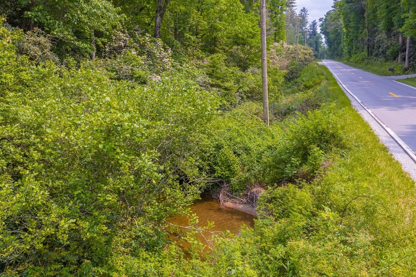 Beautifully wooded 5.83+/- gently rolling acres that adjoin the - photo 43